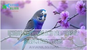 unique markings and features of purple parakeets