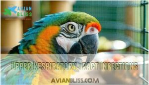 upper respiratory tract infections