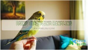 using treats and handling
