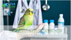 veterinary care and check-ups
