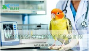 veterinary examination procedures