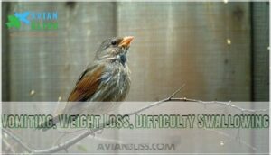 vomiting, weight loss, difficulty swallowing