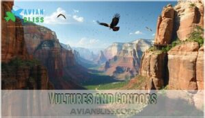 vultures and condors