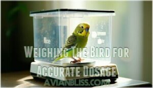 weighing the bird for accurate dosage