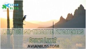what do ash-throated flycatchers sound like