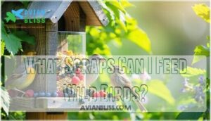 what scraps can i feed wild birds