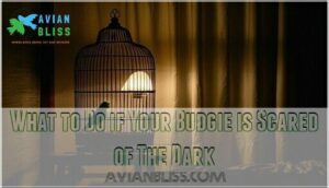 what to do if your budgie is scared of the dark