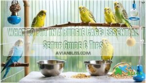 what to put in a budgies cage