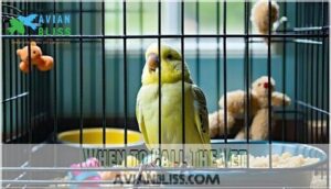 when to call the vet