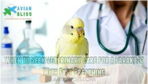 when to seek veterinary care for a parakeet with fast breathing when to seek veterinary care for a parakeet with fast breathing
