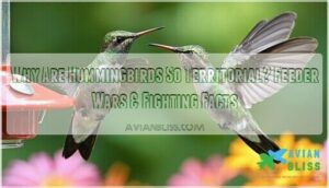 why are hummingbirds so territorial