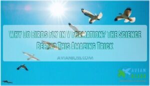 why do birds fly in v formation