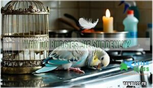 why do budgies die suddenly