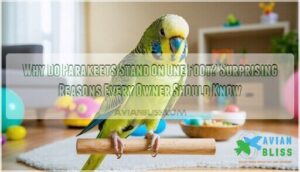 why do parakeets stand on one foot
