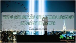 why do they turn the 9 11 memorial lights off for birds