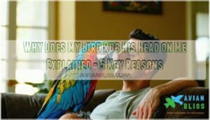 why does my bird rub his head on me explained