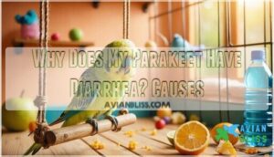 why does my parakeet have diarrhea