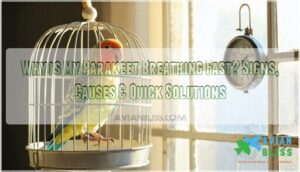 why is my parakeet breathing fast why is my parakeet breathing fast