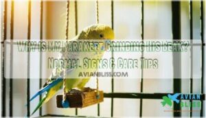 why is my parakeet grinding his beak