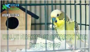 will my parakeet act differently when they lay eggs will my parakeet act differently when they lay eggs