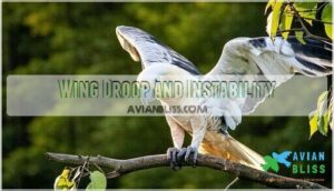 wing droop and instability