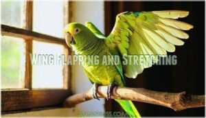 wing flapping and stretching wing flapping and stretching