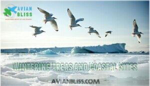 wintering areas and coastal sites