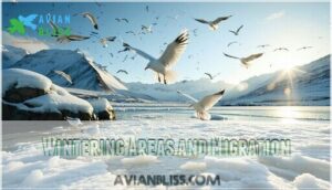 wintering areas and migration