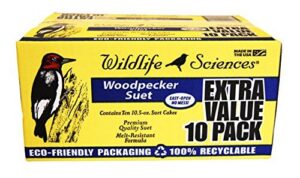 Woodpecker Suet Cake 10 Pack B075XRTR1V