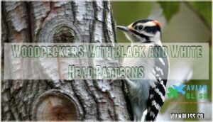 woodpeckers with black and white head patterns