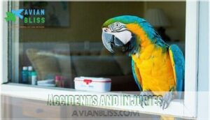 accidents and injuries