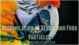 accumulation of debris and food particles