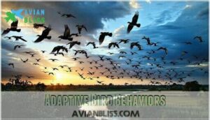 adaptive bird behaviors