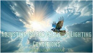 adjusting iso for changing lighting conditions