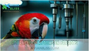 advanced symptoms in parrots