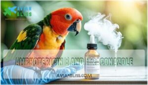 amphotericin b and itraconazole