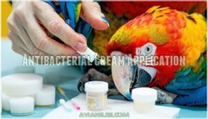 antibacterial cream application