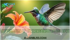 appreciation of hummingbird photography