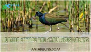 aquatic beetles and small crustaceans