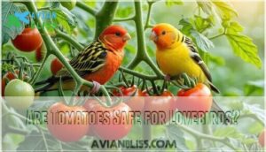 are tomatoes safe for lovebirds
