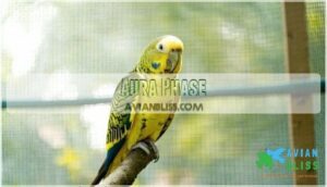 aura phase