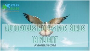 autofocus modes for birds in flight