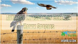 average lifespan of common hawk species