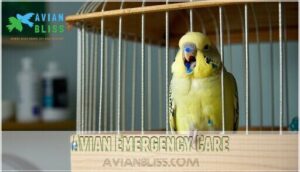 avian emergency care
