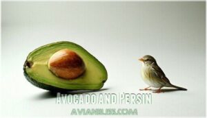 avocado and persin