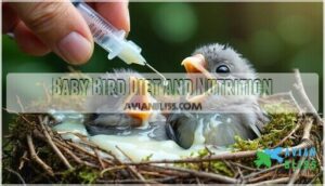 baby bird diet and nutrition