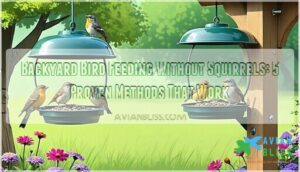backyard bird feeding without squirrels