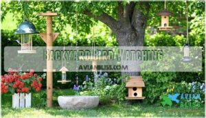 backyard bird watching backyard bird watching