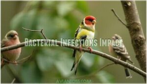 bacterial infections impact