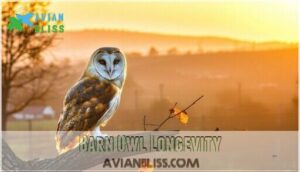 barn owl longevity